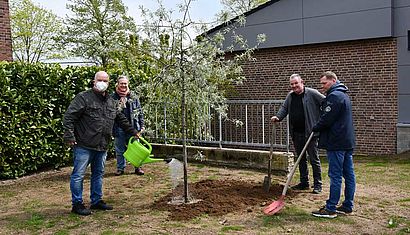 Vier Männer pflanzen auf einer Wiese einen Baum.