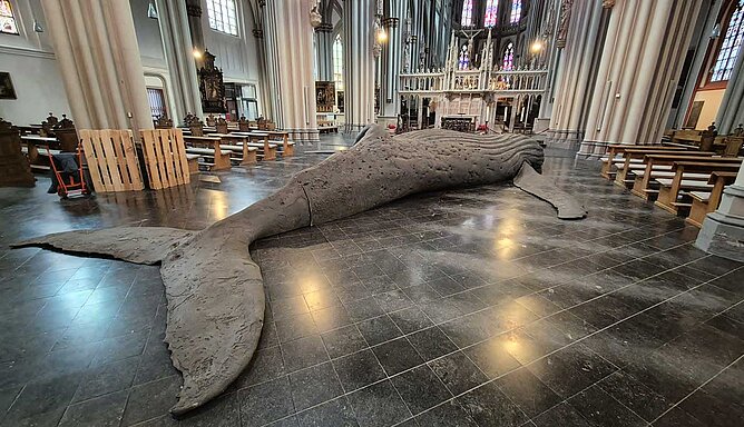 Der Gipsabdruck eines toten Wals liegt auf dem Boden des Xantener Doms
