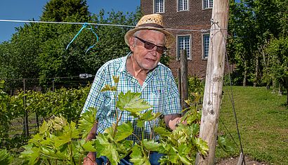 Ein Mann steht an einem Weinstock.