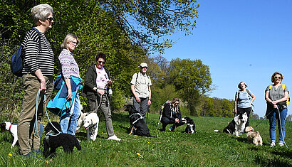 Menschen mit ihren Hunden