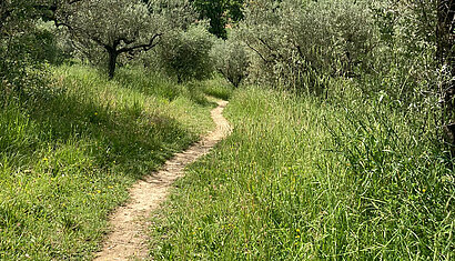 Weg druch die Landschaft