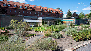 Blick in den Klostergarten der Kapuziner in Münster.