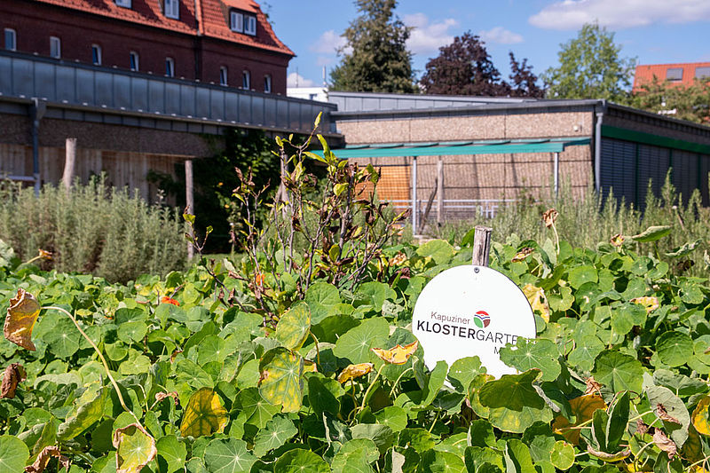 150 Salat- und Gemüsesorten, 160 Kräuterarten sowie 90 verschiedene Obstsorten sind im Klostergarten der Kapuziner zu finden.