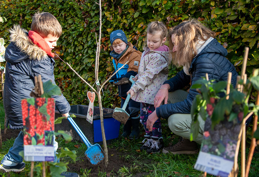 Die Kinder haben kleine Schaufeln in der Hand und bedecken den Ballen des frisch gepflanzten Baums mit Erde. Die Kinder haben kleine Schaufeln in der Hand und bedecken den Ballen des frisch gepflanzten Baums mit Erde.