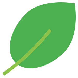 Ein grünes Blatt.