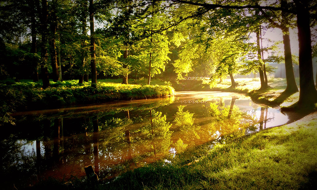 Im Wildpark Dülmen